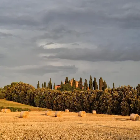 I Colli Pisani *